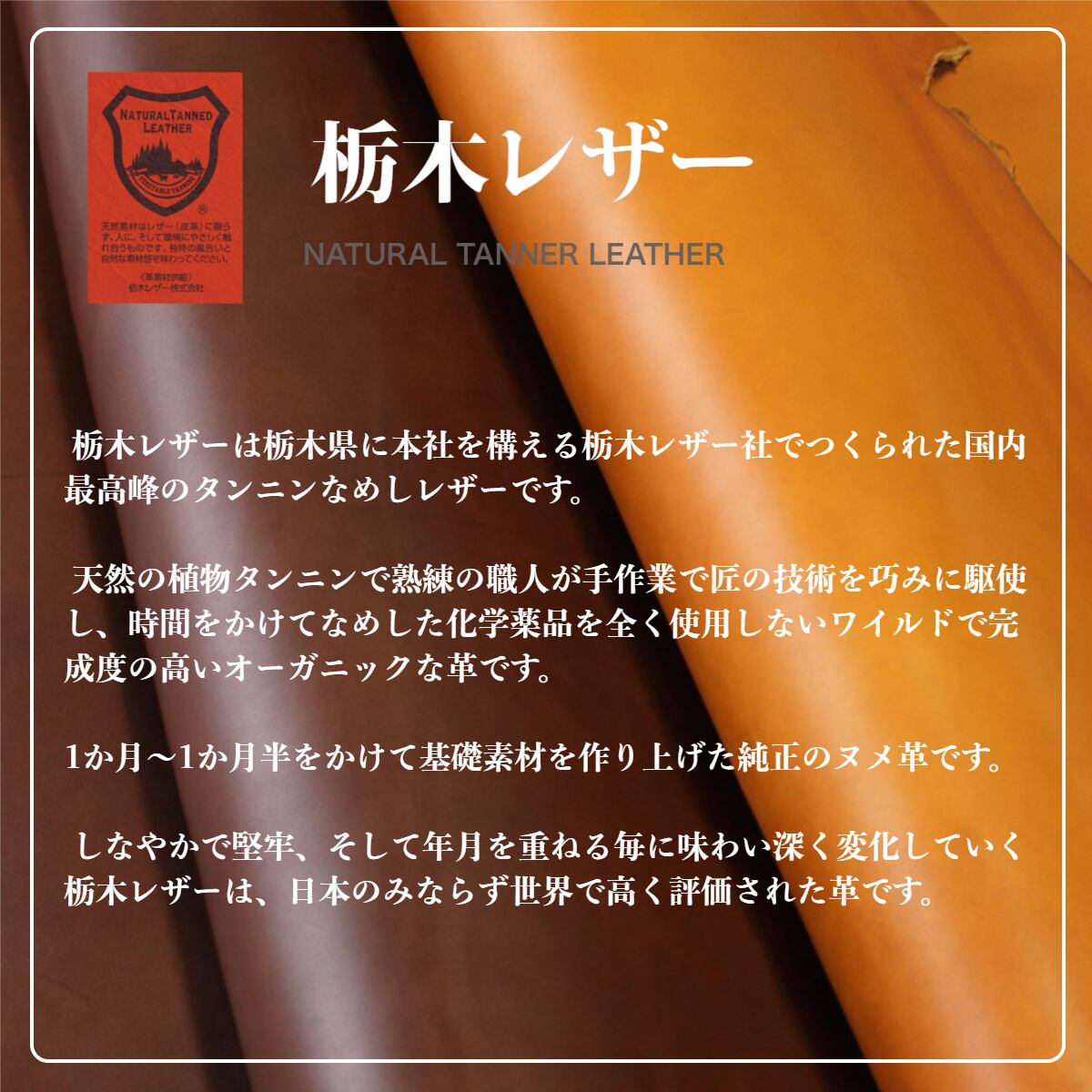 栃木レザー 二つ折り財布(栃木レザー)
